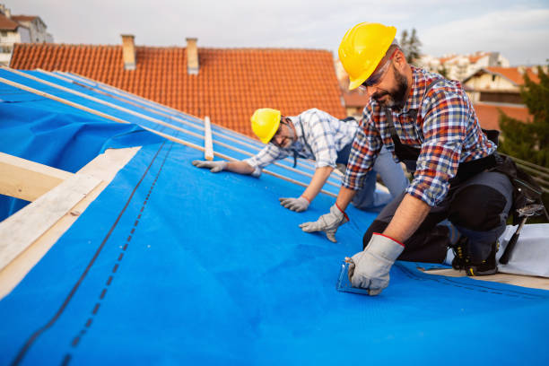 Best Roof Ventilation Installation  in Durand, WI